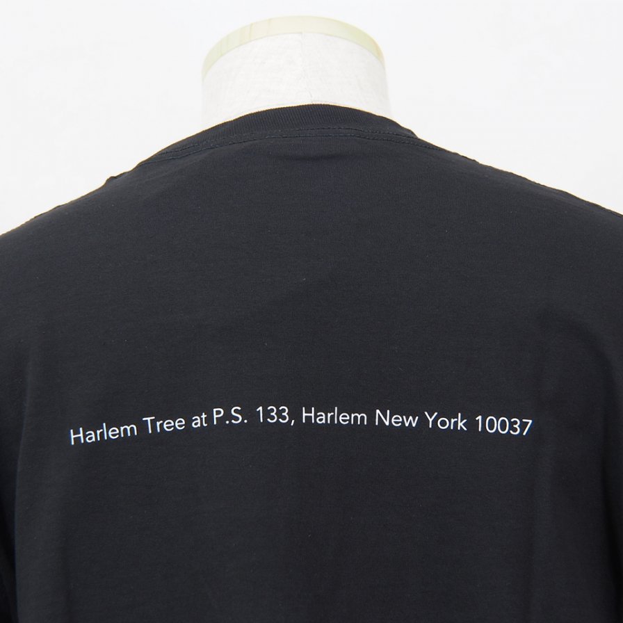 FilPhies - Harlem Tree at P.S. 133,  Harlem New York 10037 - Black