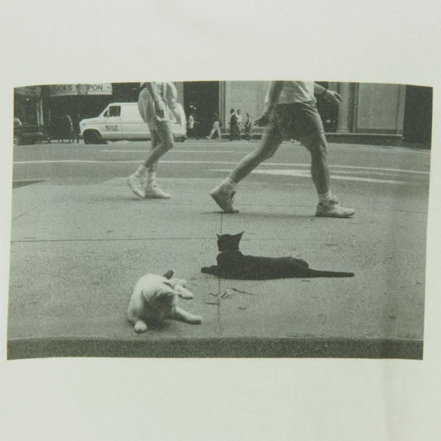 FilPhies - Two Cat on 57th Street in NYC 10009 in 1991 - White