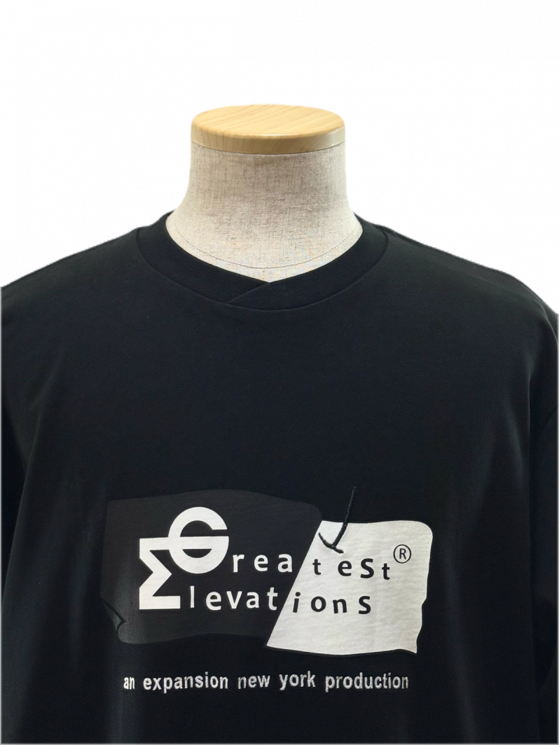 Engineered Garments Foremost別注Tシャツ 2枚セット Engineered Garments × EXPANSION NY - GREATEST ELEVATIONS TEE