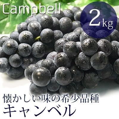 津軽ぶどう楽園-スチューベンを鶴田町から直送販売 -