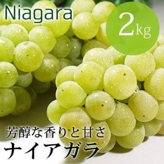 屋外ツララ33m分‼︎ ＋ナイアガラ5mの訳ありお得セット 屋外ツララ33m分‼︎ ＋ナイアガラ5mの訳ありお得セット