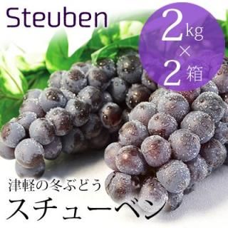 スチューベン - 津軽ぶどう楽園-スチューベンを鶴田町から直送販売 -