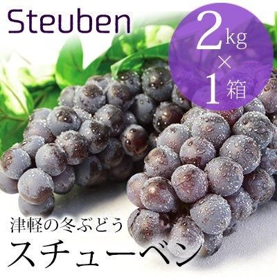 津軽の冬ぶどうスチューベン約2kg 津軽の冬ぶどうスチューベン約2kg