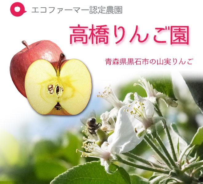 青森りんご サンふじ大玉 青森りんご サンふじ大玉