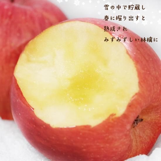 雪中りんご 雪室りんご 雪蔵りんご サンふじ