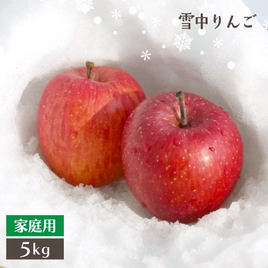 （冷蔵）数量限定！青森雪中りんご「サンふじ」【家庭用】中玉5kg入りサイズ混合（18〜20個入）※２月中旬頃からご予約開始予定