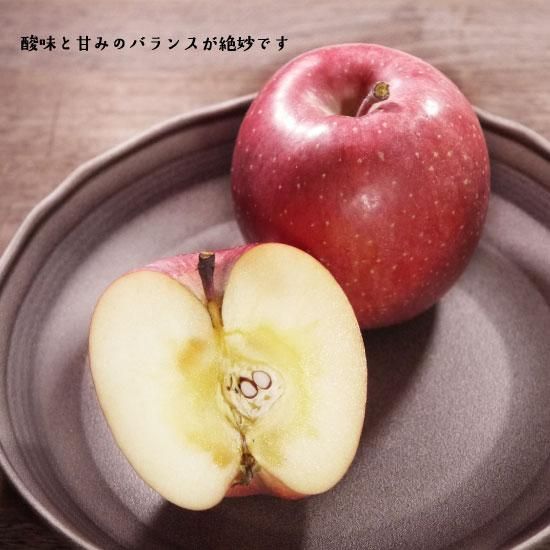 【安心発送】 青森りんご 星の金貨サンふじ詰合せ 果物