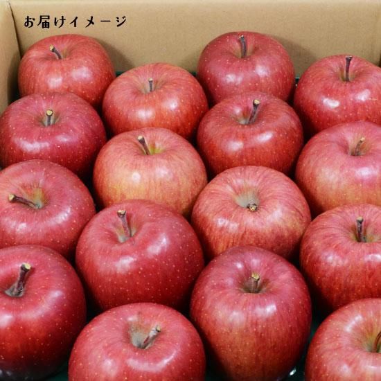 青森りんご サンふじ