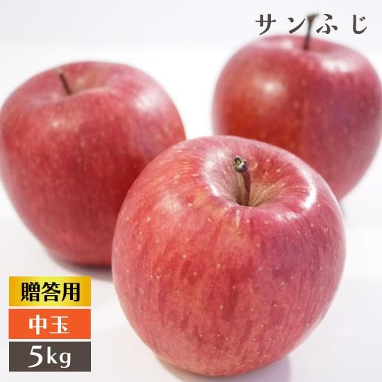 あおりんご2ページ★2+3 贈答用 青森りんご