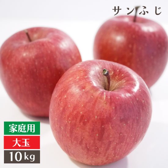 （常温）青森りんごサンふじ家庭用大玉10kg 2段モールド詰（26〜32個入り）