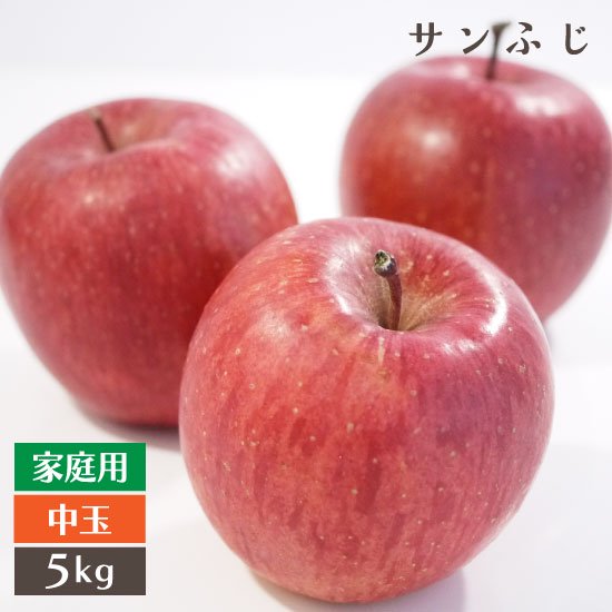（常温）青森りんごサンふじ家庭用中玉サイズ5kgモールド詰（18〜20個入り）