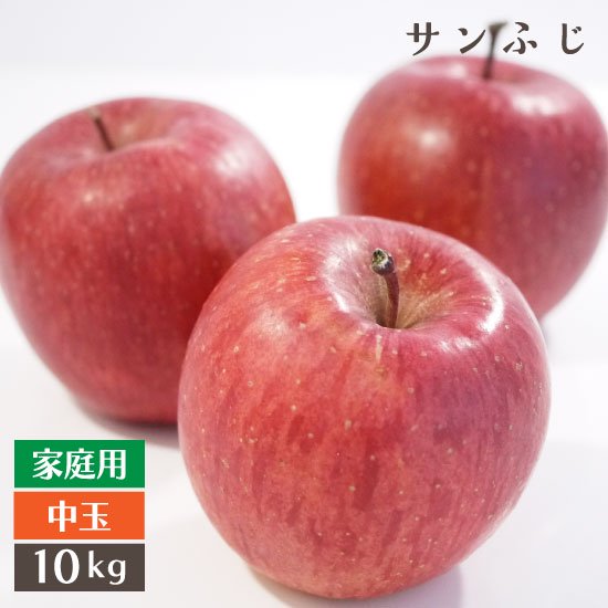 （常温）青森りんごサンふじ家庭用中玉サイズ10kg 2段モールド詰（36〜40個入り）