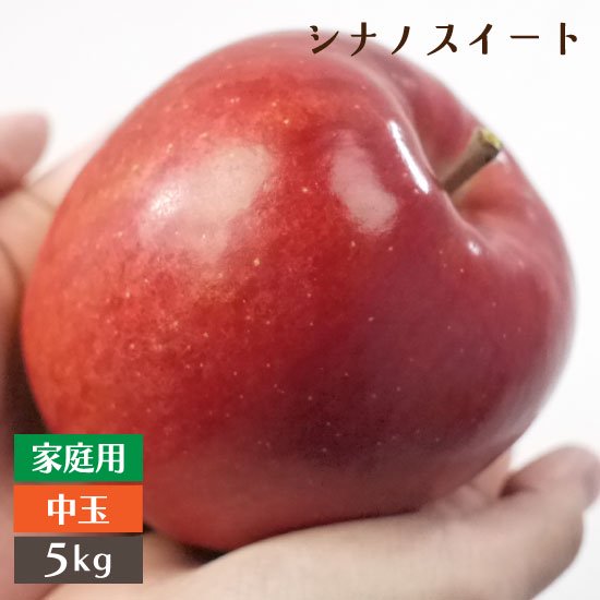 （常温）青森県黒石市産　シナノスイート家庭用　中玉5kgモールド詰（18〜20個入）