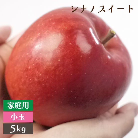（常温）青森県黒石市産　シナノスイート家庭用　小玉5kgモールド詰（23〜28個入）