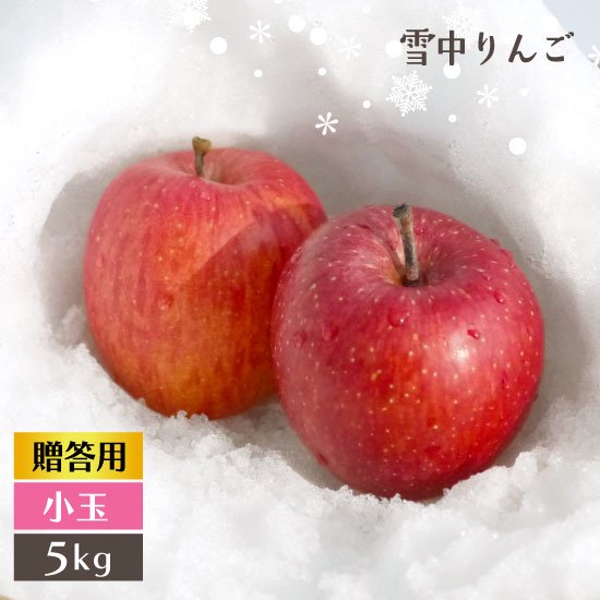 雪中りんご 雪室りんご 雪蔵りんご 青森サンふじ