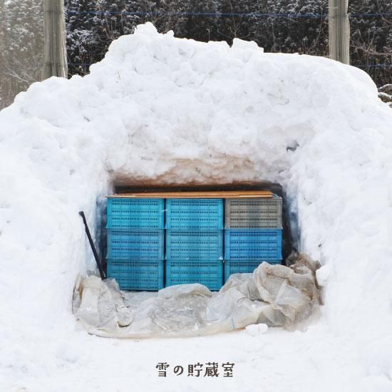 雪林檎様 お見積りページ 雪林檎様 お見積りページ 雪林檎様 お見積りページ
