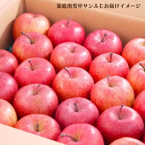 雪中りんご 雪室りんご 雪蔵りんご 青森サンふじ