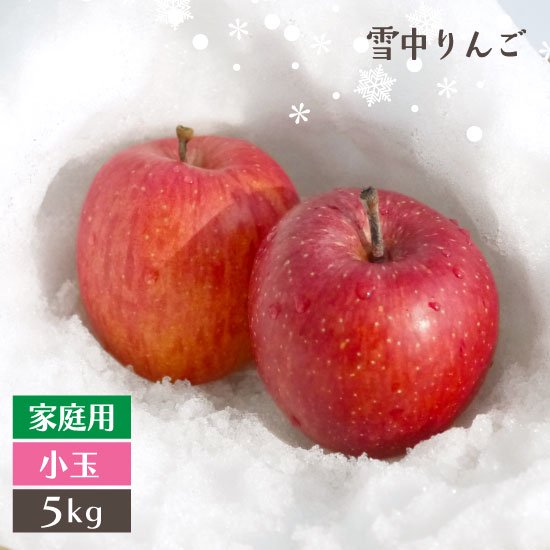 （冷蔵）数量限定！青森雪中りんご「サンふじ」小玉【家庭用】5kg入り（23〜28個入）※発送は3月下旬〜4月上旬
