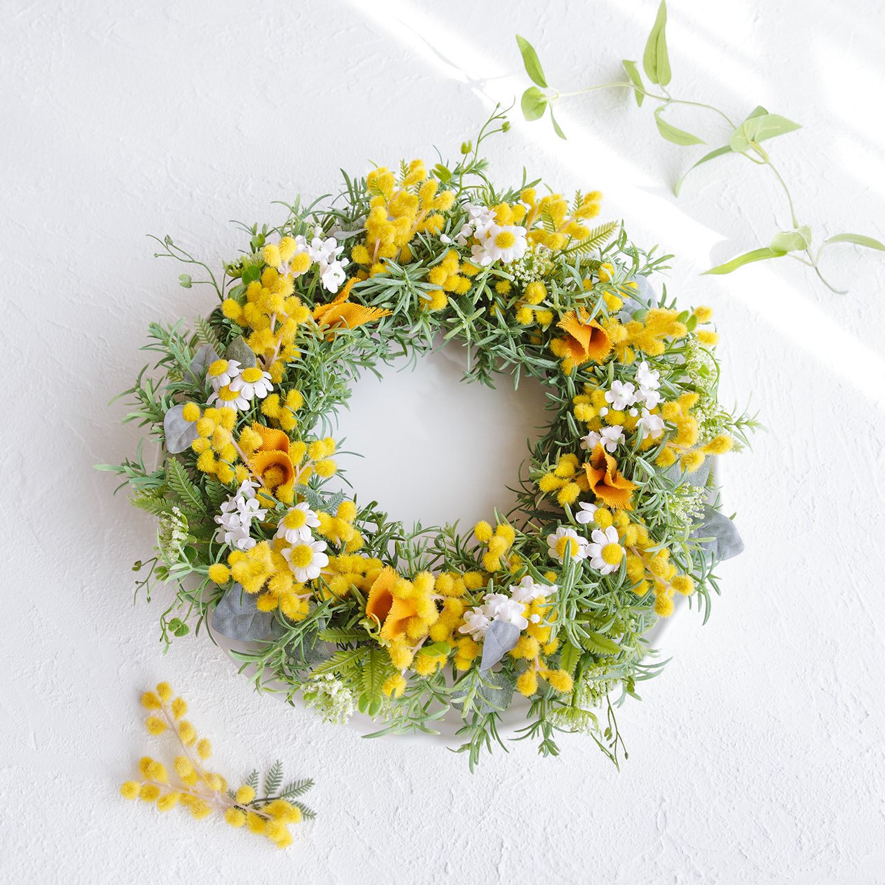 Mimosa Wreathʥߥ⥶꡼ˤβ