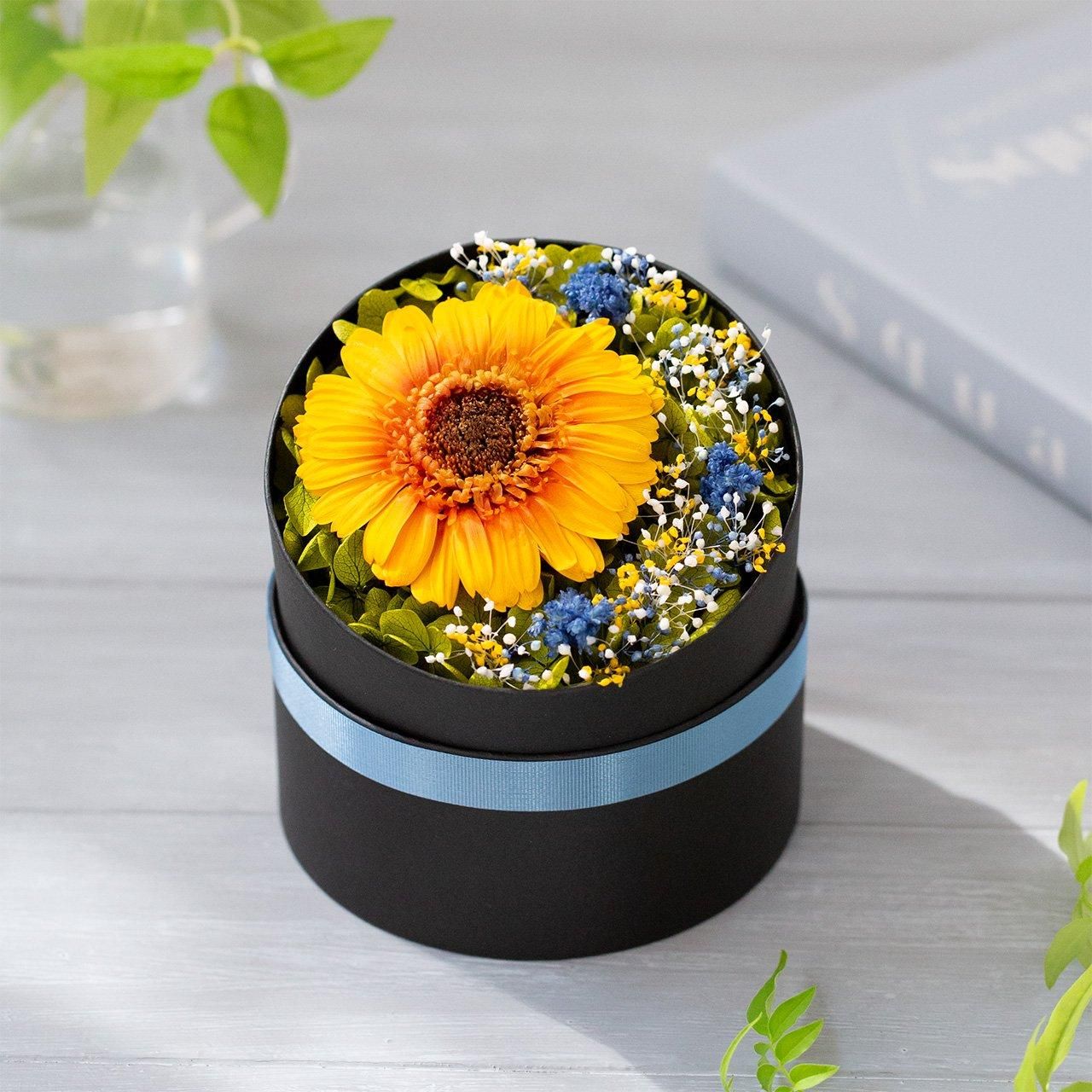 Gerbera Box（ガーベラ ボックス）| プリザーブドフラワーボックス