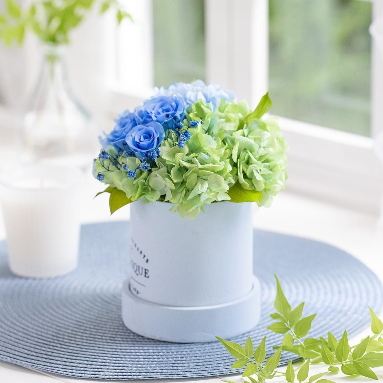 Fresh Blueʥեå֥롼ˤβ