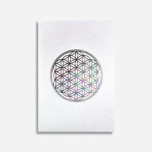 Ģ ե֥饤  Flower Of Life  / Ƚ | б ʩ Ģ Ź ꥸʥ  饤󥷥å 