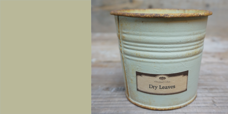 Dry Leaves/ドライリーブス