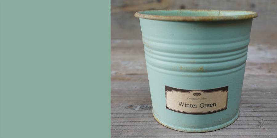 Winter Green/ウィンターグリーン