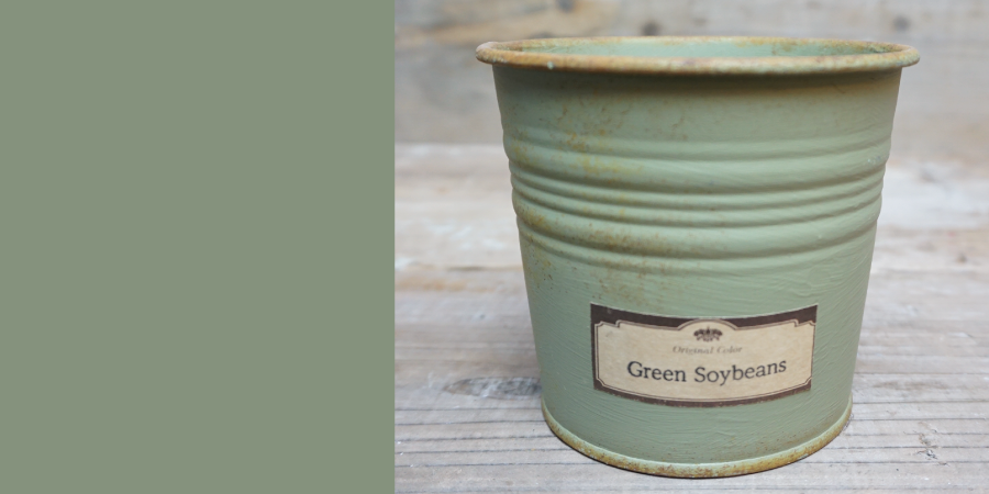 Green Soybeans/グリーンソイビーンズ