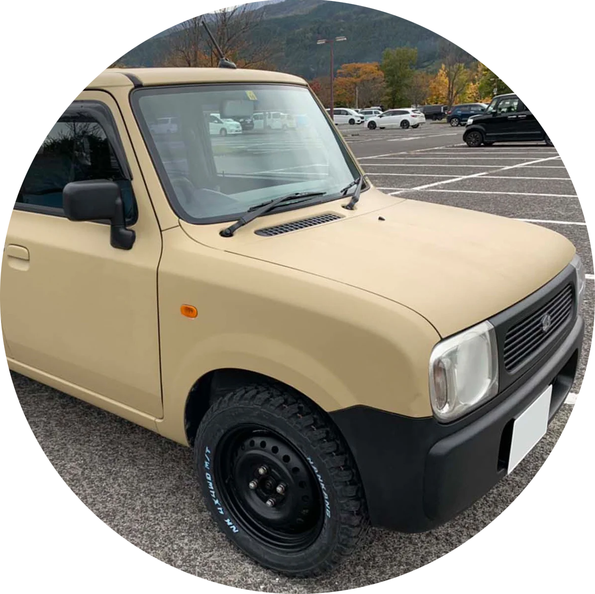 タカラ塗料 ビスケット TAKARA 刷毛塗全塗装用 オールペン 水性
