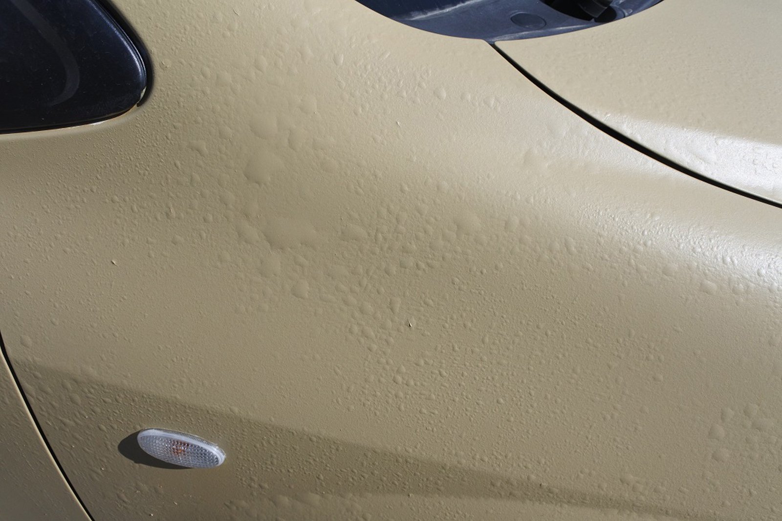 マツダ ｍｐｖをビスケットで全塗装 刷毛 ハケ ローラーで車をdiyで全塗装しよう