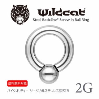 ܥǥԥ Body Pierce  2G 2 塼ܡ 륹ƥ쥹 316L 󥿡ʥ꡼ 䡼  եʥ Wildcat 磻ɥå