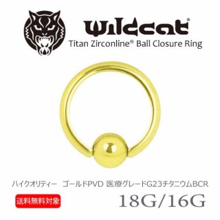 ܥǥԥ  BCR CBR 18G 16G   Gold ܡ륯㡼  䡼 ȥ饬 إå å Wildcat 磻ɥå