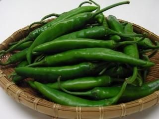 生青唐辛子 キムチの製造 通販 こだわりキムチのカネダ食品