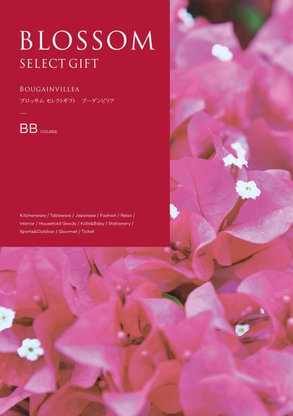 BLOSSOM SELECT GIFT<br>BB֡ӥꥢ