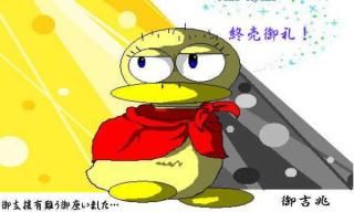 ζγ1000 