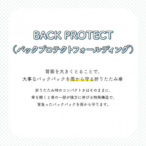 Wpc. BACK PROTECT ޤꤿ߻