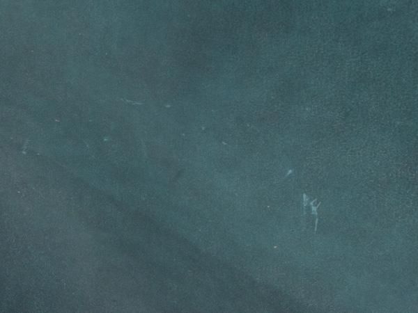 Foglia 󥰥åȡܳץͥӡ