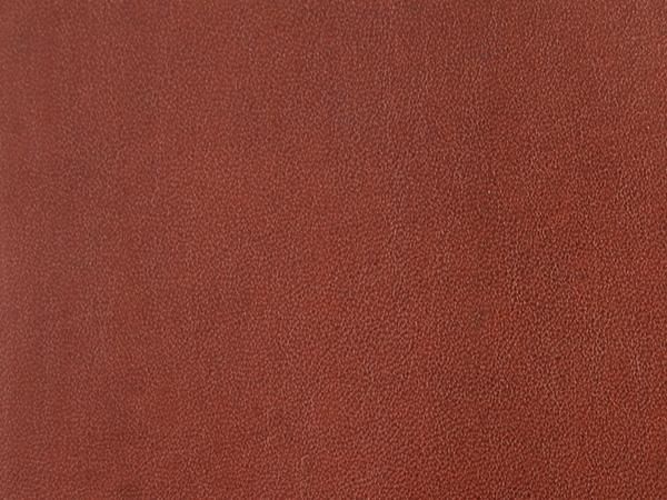  Foglia 饦ɥ󥰥åȡܳץ֥饦