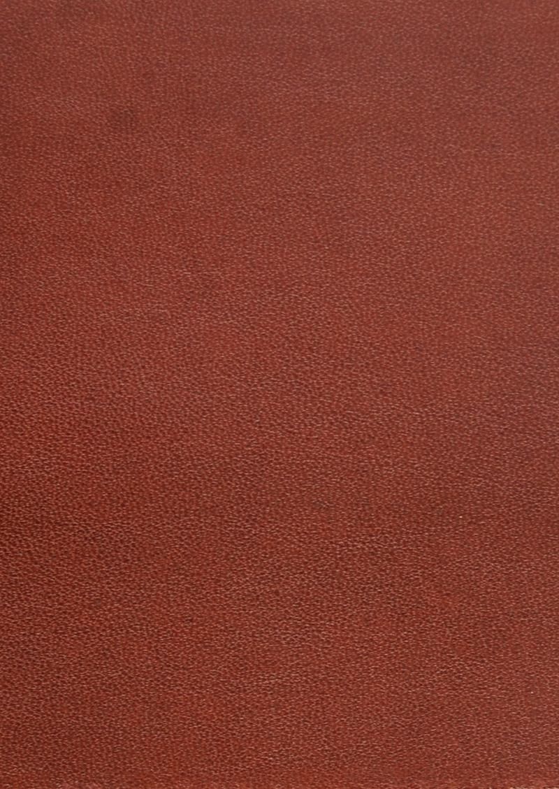  Foglia 饦ɥ󥰥åȡܳץ֥饦