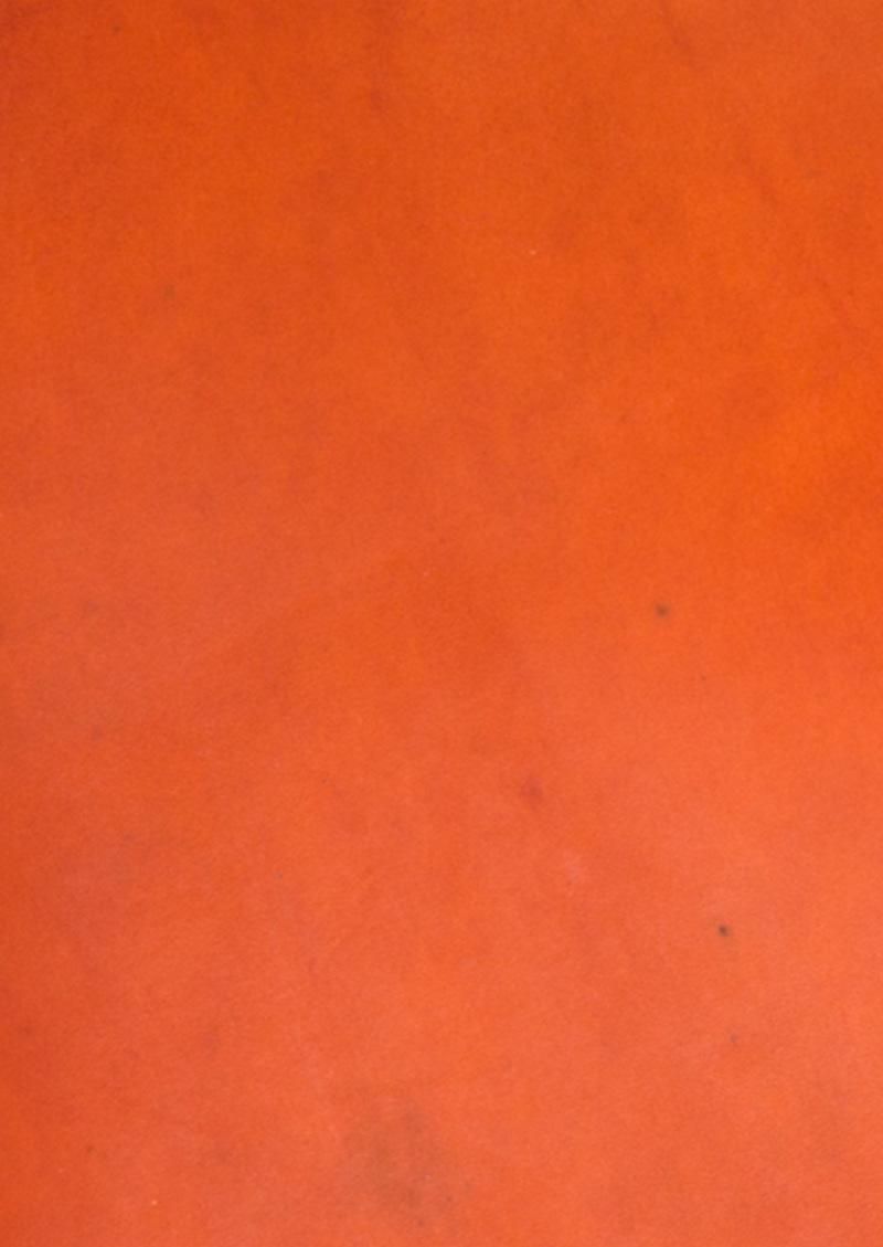 Foglia 󥰥åȡܳץåɥ֥饦