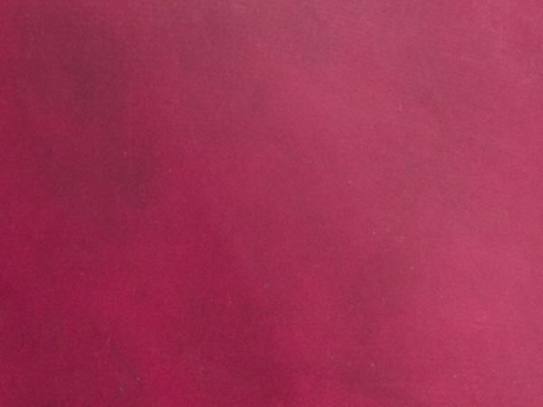  Foglia 饦ɥ󥰥åȡܳץ磻å