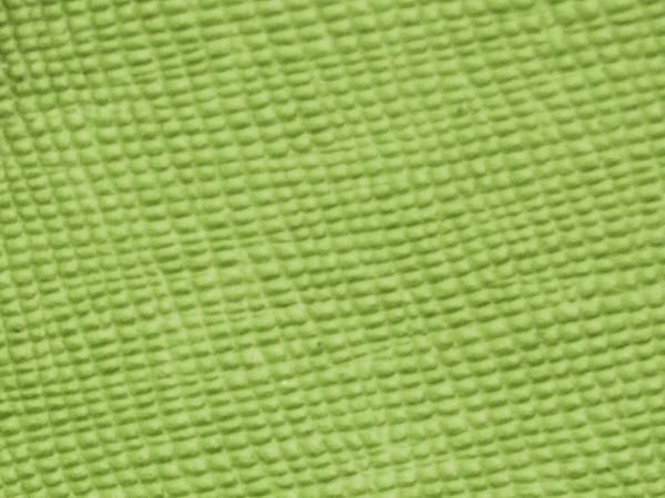 Foglia ドクターショルダーバッグ 本革グリーン