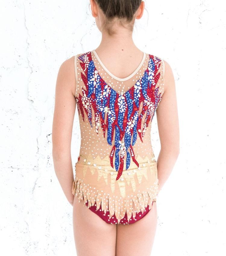 新体操 競技用レオタード スワロフスキー 新体操,輸入,手作りレオタード, ロシア, ジュニア選手権