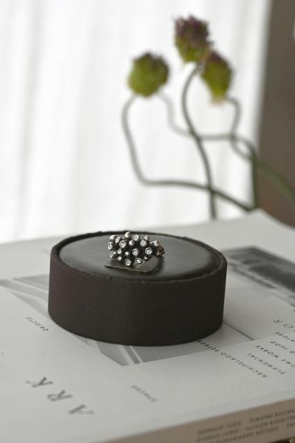 Diamond Ring(リング) AN921 AGBR シルバーブラック