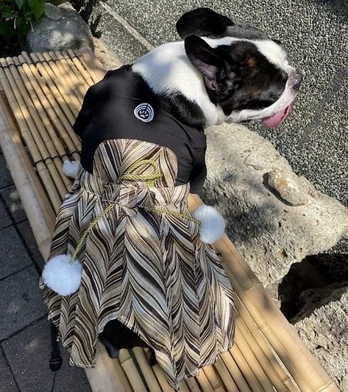 愛犬用袴 家紋付 金 お正月やお祝い事などに Xs Xxl Ds Dl ダックスサイズ Large S Large Xl ラージサイズは4 180円 創業大正13年 東京深川 下町の呉服店 田巻屋オフィシャルオンラインショップ 愛犬用袴 家紋付 金 お正月やお祝い事などに Xs Xxl Ds Dl ダックスサイズ Large S Large Xl ラージサイズは4 180円 創業大正13年 東京深川 下町の呉服店 田巻屋オフィシャルオンラインショップ