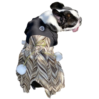 <img class='new_mark_img1' src='https://img.shop-pro.jp/img/new/icons33.gif' style='border:none;display:inline;margin:0px;padding:0px;width:auto;' />愛犬用袴 家紋付 金 お正月やお祝い事などに！XS～XXL，DS～DL（ダックスサイズ）