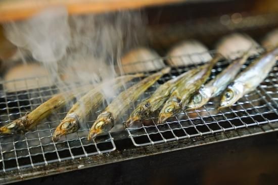 にぎす干物 12尾入り 株式会社能水商店 にぎす干物 12尾入り 株式会社能水商店