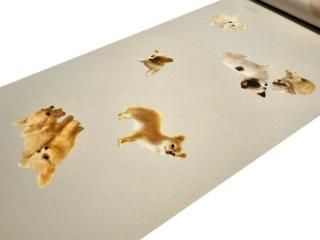 Ĺ ֵྮĮץ졼Ϥ˻Ƹ<img class='new_mark_img2' src='https://img.shop-pro.jp/img/new/icons48.gif' style='border:none;display:inline;margin:0px;padding:0px;width:auto;' />