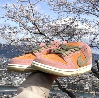 NIKESB DUNK LOW PRO "RED STARDUST" (HJ4135-600)